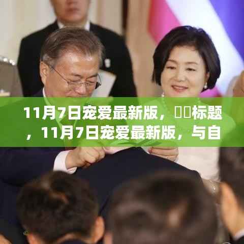 11月7日宠爱最新版,与自然浪漫邂逅的内心平和之旅