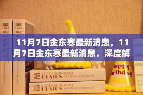 深度解析，金东寒最新动态与影响速递