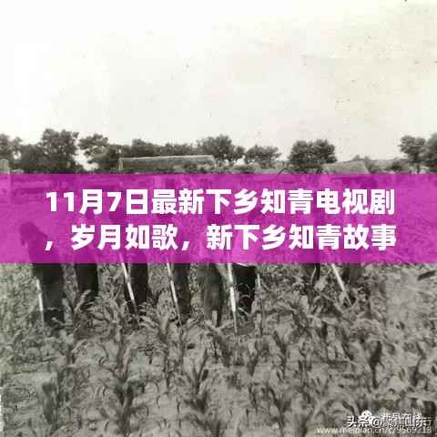 岁月如歌,新下乡知青故事——激励人心的励志电视剧
