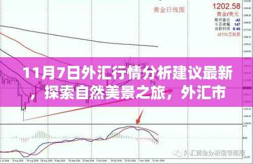 11月7日外汇行情最新解析与探索自然美景之旅，市场宁静与远方风景的魅力