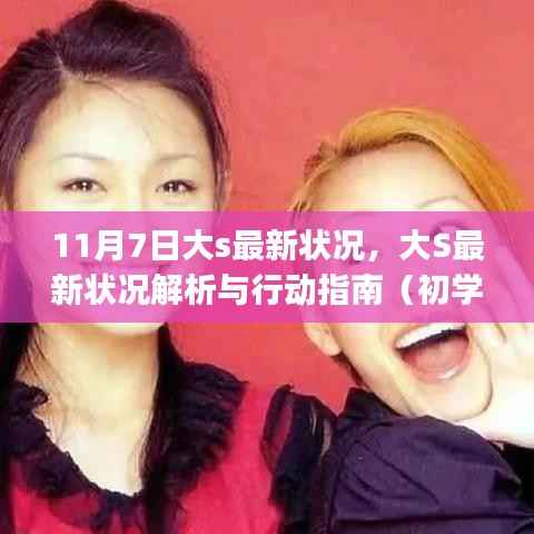 大S最新状况解析与行动指南,从初学者到进阶用户的全方位关注(11月7日更新)