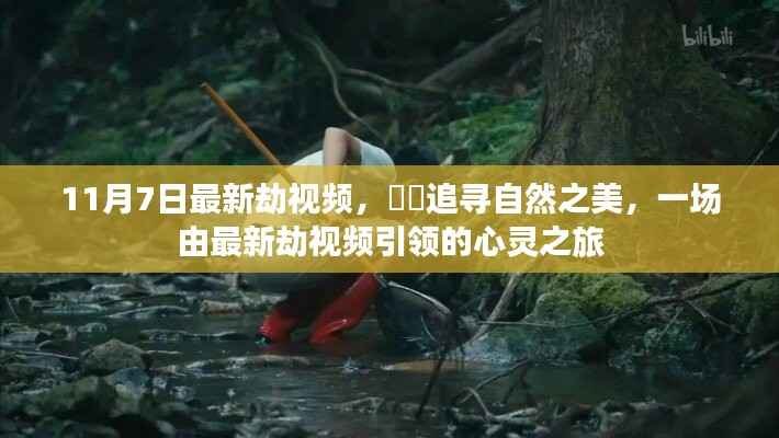 最新劫视频引领的自然之美心灵之旅探索纪实