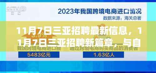 11月7日三亚最新招聘信息,与自然美景邂逅的求职之旅