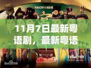 11月7日粤语剧全攻略,观看指南与初学者进阶指南
