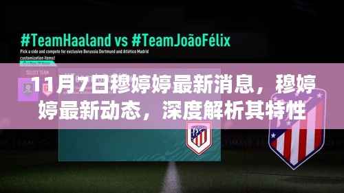 穆婷婷最新动态揭秘,特性、用户体验与目标用户群体深度解析