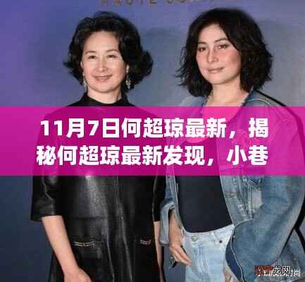 揭秘何超琼最新发现,小巷深处的隐藏版特色小店故事,独特风味令人难忘