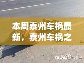 九死一生 第6页