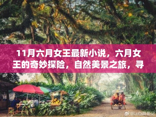 六月女王的自然美景探险之旅,寻找内心的宁静与笑声
