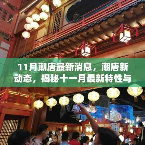 揭秘潮唐新动态,十一月最新特性与体验速递