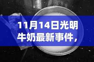 揭秘光明牛奶最新事件,小巷深处的宝藏与隐藏小店的秘密