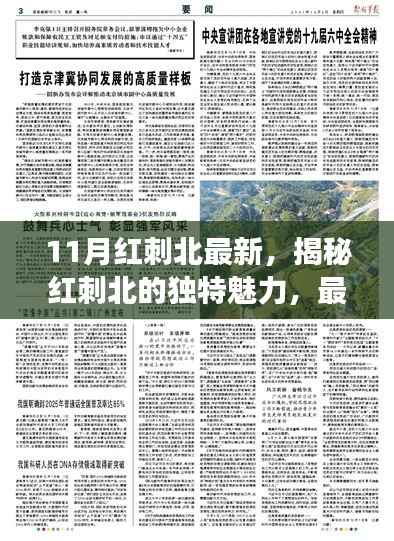 揭秘红刺北的独特魅力，最新研究进展与发现（11月版）