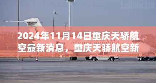 重庆天骄航空新篇章,学习变化,自信翱翔,开启梦想之旅(2024年11月14日最新消息)