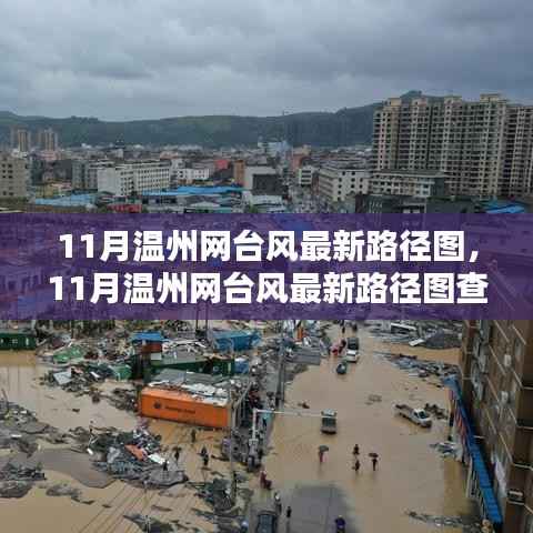 11月温州网台风最新路径图及查询步骤指南