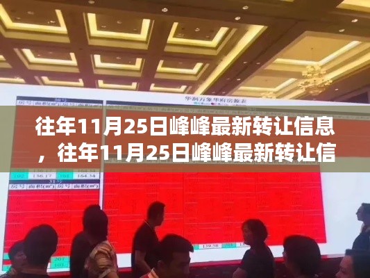 往年11月25日峰峰最新转让信息全解析,操作指南与详解