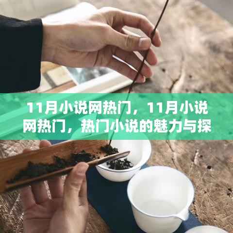 11月小说网热门,11月小说网热门,热门小说的魅力与探索