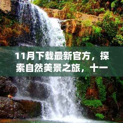 十一月自然探索之旅,最新官方指南助你心灵旅行启程