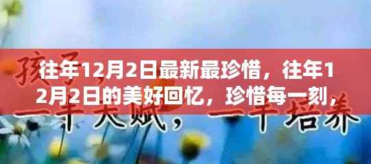 往年12月2日的珍贵回忆,每一刻都值得珍惜,收获无限可能的美好时光