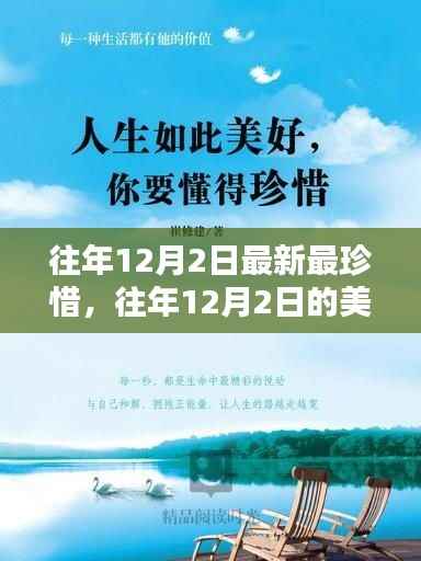 往年12月2日的珍贵回忆,每一刻都值得珍惜,收获无限可能的美好时光