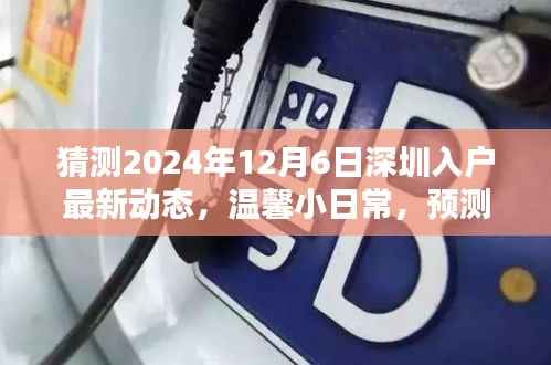 深圳入户最新动态预测，家的温馨与友情的纽带，2024年12月6日最新入户趋势展望