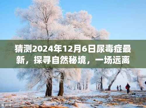 猜测2024年12月6日尿毒症最新，探寻自然秘境，一场远离尘嚣的旅行，预见尿毒症未来的宁静之光
