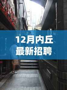 最新丘城招聘攻略,探秘小巷深处的独特小店,12月内丘招聘全解析