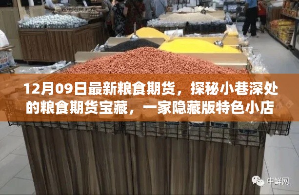 探秘隐藏版特色小店,粮食期货宝藏揭秘的独家魅力(最新粮食期货行情报道)