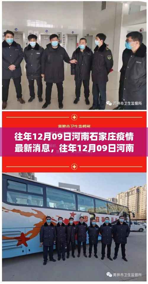 往年12月09日河南石家庄疫情最新消息全面解读，特性、体验、竞品对比及用户群体深度分析