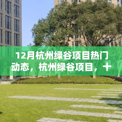 杭州绿谷项目十二月动态,暖阳下的温馨日常进展