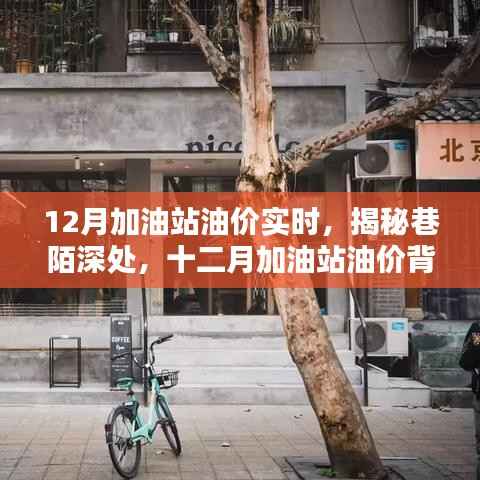揭秘加油站油价背后的秘密,十二月巷陌深处特色小店探秘