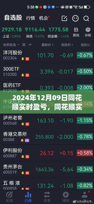 同花顺实时盈亏见证股市风云,2024年12月09日的数字见证