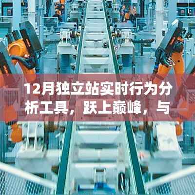 变革奇迹,跃上巅峰的12月独立站实时行为分析工具
