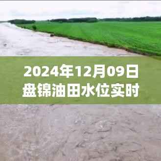 盘锦油田水位实时查询,探寻宁静油田的美景之旅