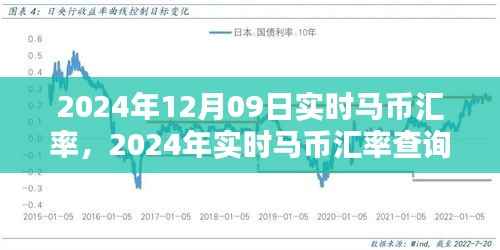 2024年实时马币汇率查询指南，掌握马币汇率动态