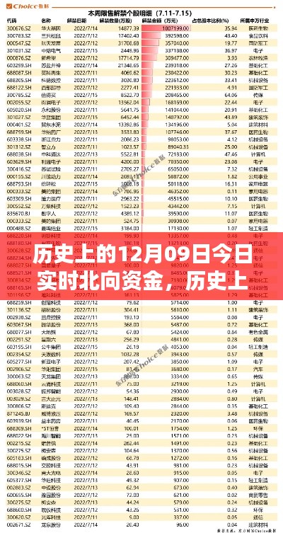 历史上的12月09日北向资金实时概览,今日北向资金动态概览