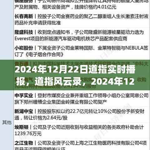道指风云录,2024年12月22日市场洞察与实时播报