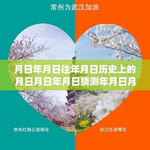 追寻自然美景的浪漫之旅，历史数据、实时确诊与月日月日的探索