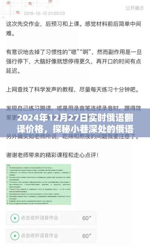 探秘小巷深处的俄语翻译宝藏,揭秘实时俄语翻译价格(针对2024年12月27日)