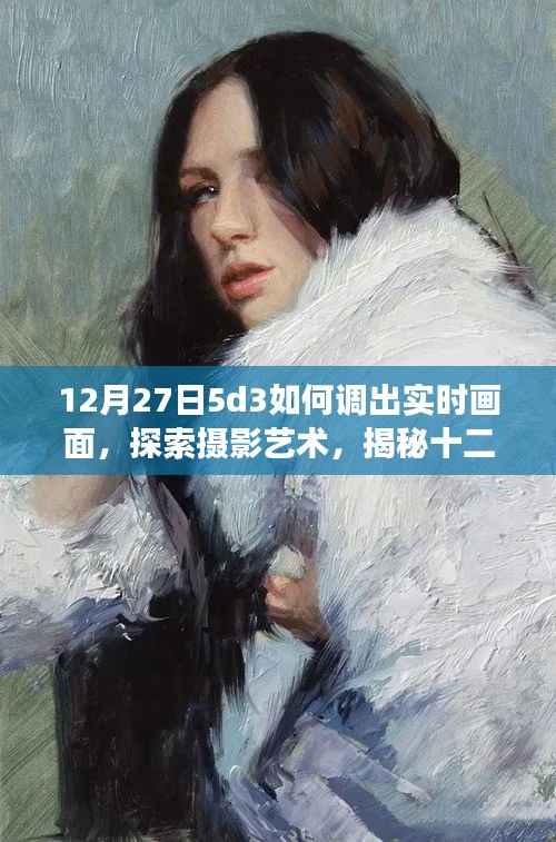 揭秘摄影艺术，如何在尼康D53相机上实现实时画面调整与探索摄影艺术技巧分享（十二月二十七日指南）