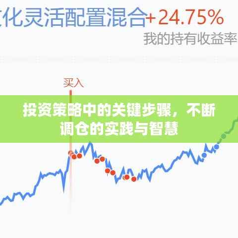 投资策略中的关键步骤,不断调仓的实践与智慧