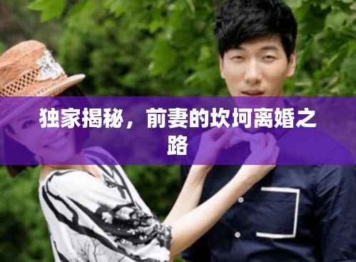 独家揭秘,前妻的坎坷离婚之路
