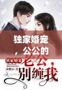 独家婚宠，公公的角色与影响力分析