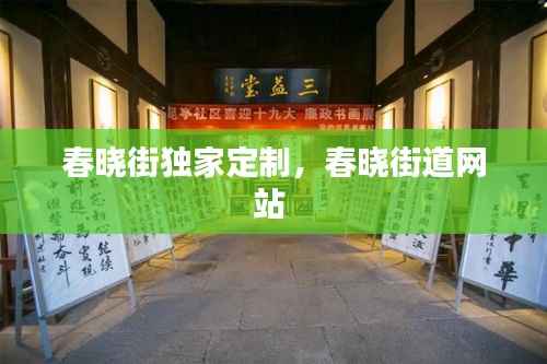 春晓街独家定制,春晓街道网站