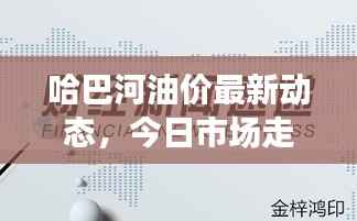 哈巴河油价最新动态，今日市场走势及影响因素深度解析