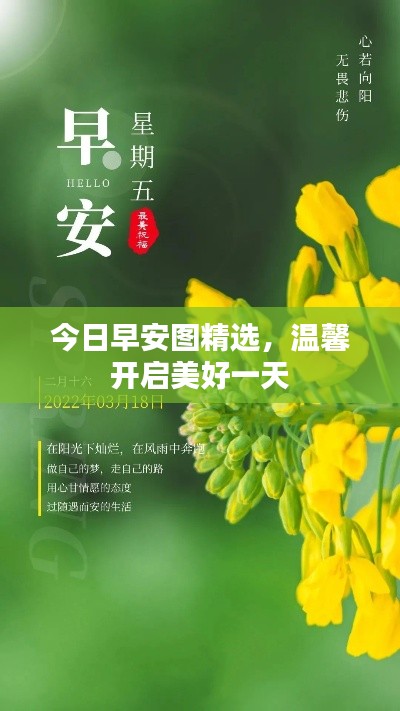 今日早安图精选,温馨开启美好一天