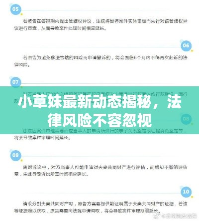 小草妹最新动态揭秘,法律风险不容忽视