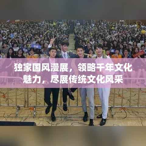 独家国风漫展,领略千年文化魅力,尽展传统文化风采