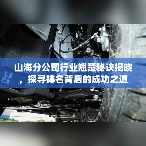 山海分公司行业翘楚秘诀揭晓,探寻排名背后的成功之道