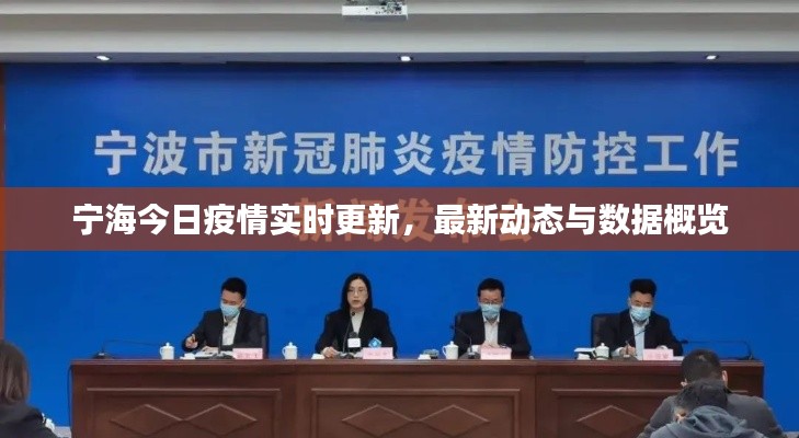 宁海今日疫情实时更新,最新动态与数据概览
