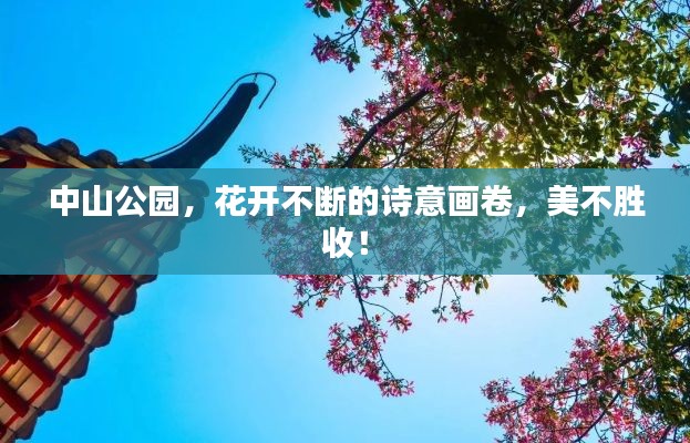 中山公园,花开不断的诗意画卷,美不胜收!