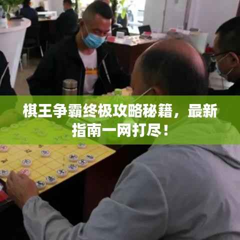 棋王争霸终极攻略秘籍,最新指南一网打尽!